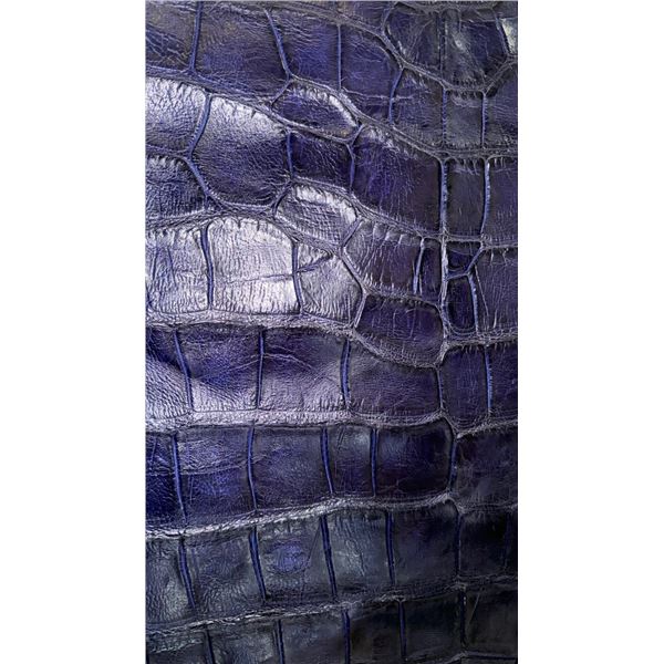 10 - 11 ft American Alligator Hide
