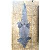Image 3 : 7-8 Ft American Alligator Hide