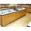 Image 1 : Science Lab Work Station