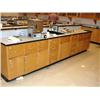 Image 2 : Science Lab Work Station
