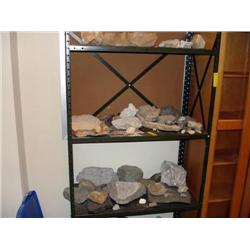 Assortment of Fossils and Stones