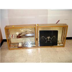 Display Cases with Contents