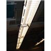 Image 1 : Shop Light - 20' long