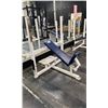 Image 2 : APEX COMMERCIAL INCLINE BENCH RACK