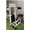 Image 2 : APEX COMMERCIAL SEATED BACK EXTENSION MACHINE