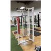 Image 2 : APEX STANDING TRICEP PRESS MACHINE
