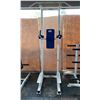 Image 1 : APEX HANGING KNEE RAISE/DIP STATION