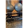 Image 2 : WEIGHT RACK WITH 65 & 55LBS DUMBBELLS AS WELL AS 2 EXERCISE BALLS