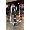 Image 2 : WEIGHT RACK WITH BARS RANGING FROM 15-95LBS