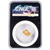Image 2 : 4.07 Gram Arizona Gold Nugget NGC Vaultbox Unvaulted