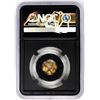 Image 2 : Lot of Colorado Gold Nuggets 1.50 Grams Total Weight NGC Vaultbox Unvaulted