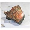 Image 1 : XL 4X4 INCH FIRE AMMOLITE SPECIMEN