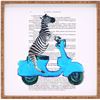 Image 1 : NEW DENY DESIGNS CICI DE PARIS ZEBRA ON BLUE VESPA