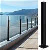 Image 1 : NEW GLASS BALUSTRADE POST BLACK - TOPLESS GLASS