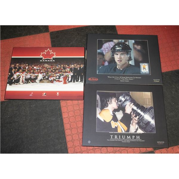 3 HOCKEY WALL HANGINGS