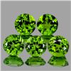Image 1 : Natural Green Peridot 5 pcs {Flawless-VVS1}