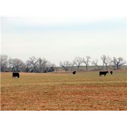 160 +/- Acres in Woods County, Oklahoma