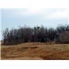 Image 9 : 160 +/- Acres in Woods County, Oklahoma