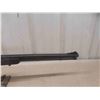 Image 8 : Marlin 60 22 L.R. SA 19'' Barrel Serial# 91476356 with Synthetic Stock,