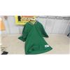 Image 1 : Vintage Saskatchewan Rough Riders CFL Mens Size Large Football Jersey