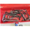 Image 2 : Tool Box Filled with Allan Keys 