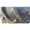 Image 4 : Set of 2 Tractor Tires 14.9-24 and Rims