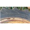 Image 5 : Set of 2 Tractor Tires 14.9-24 and Rims