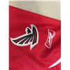 Image 5 : Atlanta Falcons Jersey Size Small with Matching Back Rest Pillow
