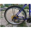 Image 4 : Norco Girls Bike 26'' with Kick Stand and Back Parcel Carrier 