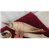 Image 3 : Birch Bark Canoe, Tee Pee Display & More 