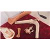 Image 8 : Birch Bark Canoe, Tee Pee Display & More 