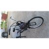 Image 2 : Adult Tricycle Bike with Dog Cycle Leashes and Helmet Goggles 