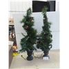 Image 1 : 2 Light Up Christmas Trees in Pots 39'' Tall