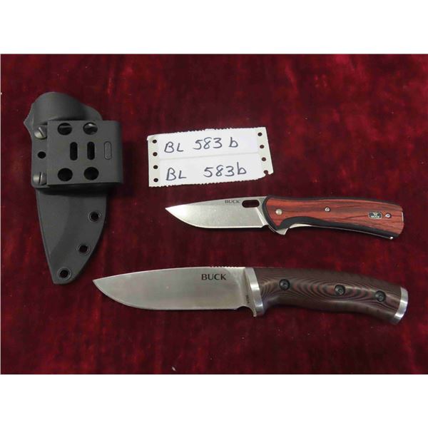 2 Buck Knives 4 1/2'' & 3'' Blades with 1 Sheath