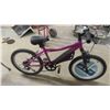 Image 8 : Stratus Tursin 20 Pedal Bike 
