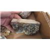 Image 8 : Precious Rocks 