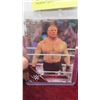 Image 2 : Brock Lesnar WWE Card 