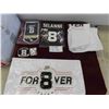 Image 1 : Teemu Selanne 'A Tribute to a Legend' Program , Pin, Crest, Flag/Banner