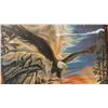 Image 2 : Eagle Pictures 22'' x 39''