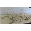 Image 1 : 7 Deer Shed Antlers 