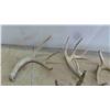 Image 2 : 7 Deer Shed Antlers 
