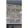 Image 3 : 20 Manitoba License Plates 