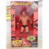 Image 2 : 2 New World Champion Wrestling Figures : Goldberg & Macho Man 