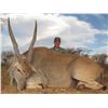 Image 1 : Namibian Eland Hunt for 2 hunters and 2 Observers (10 Days) includes taxidermy credits