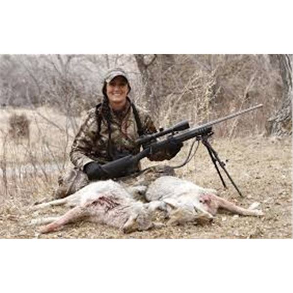 Arizona Predator Hunt for Two (3 Day Hunts and 1 Night Hunt)