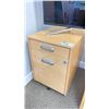 Image 2 : ROLLING 4 DOOR (2 INTERIOR DRAWERS) FILE CABINET 24.5 X 18"