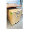 Image 2 : ROLLING 4 DOOR (2 INTERIOR DRAWERS) FILE CABINET 24.5 X 18"