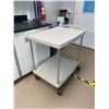 Image 2 : 2 TIER METRO CART