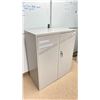 Image 2 : 2 DOOR METAL STORAGE CABINET APPROX 3 X 3.5'