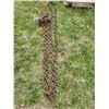 Image 2 : Approx. 9" Auger bit & 20 ft logging chain